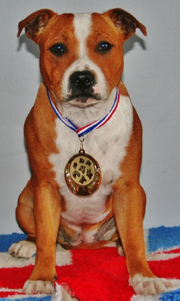 Heaven of angels Of The Kind Monsters - Trés prometteur Puppys