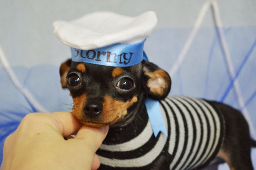 Publication : Des Dunes De Keremma Auteur : Photographe SCC