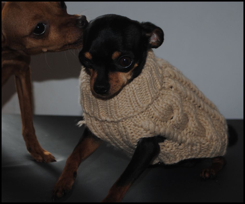 Publication : Des Dunes De Keremma Auteur : Photographe SCC