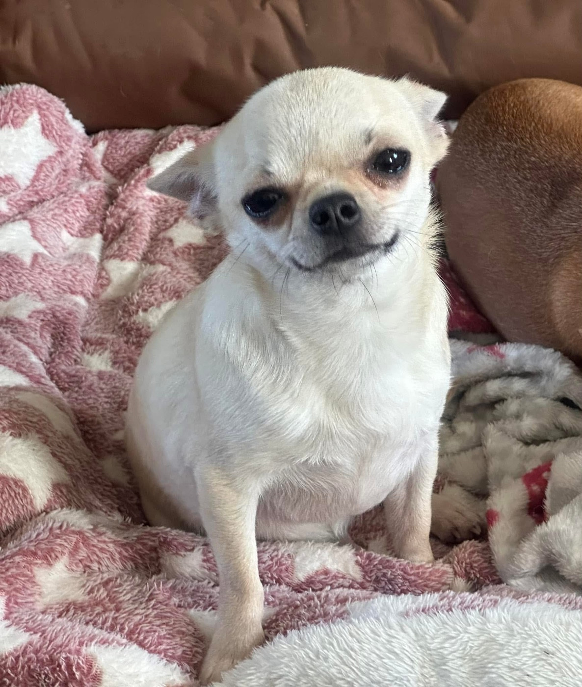 Publication : Des Dunes De Keremma Auteur : Urien Sophie