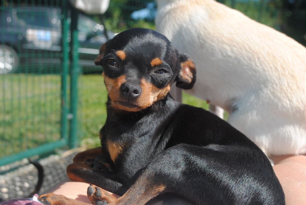 Publication : Des Dunes De Keremma Auteur : Photographe SCC