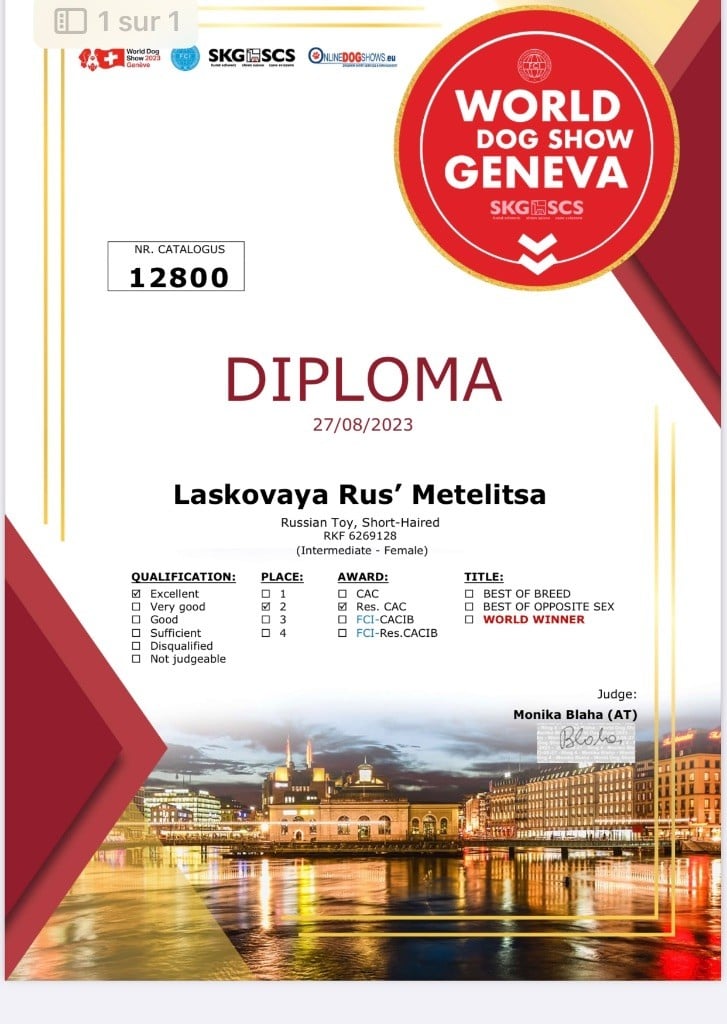 laskovaya rus' Metelitsa