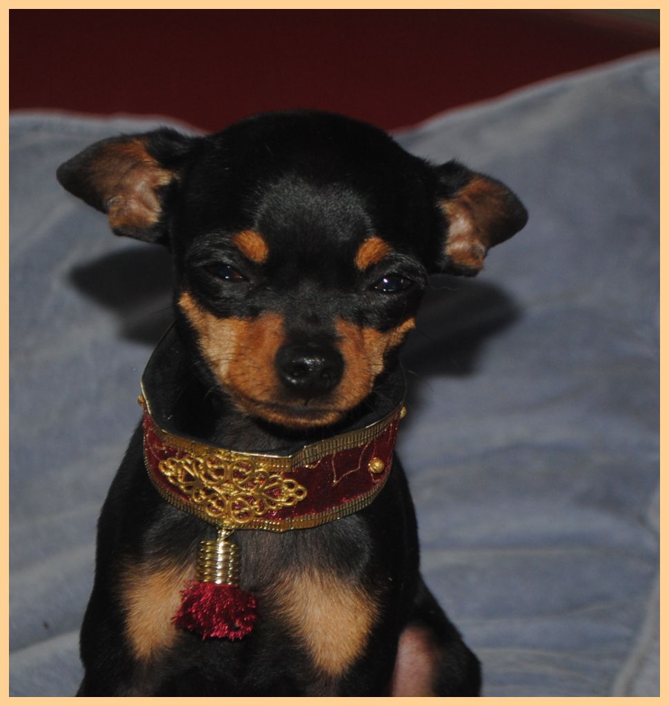 Publication : Des Dunes De Keremma Auteur : Photographe SCC