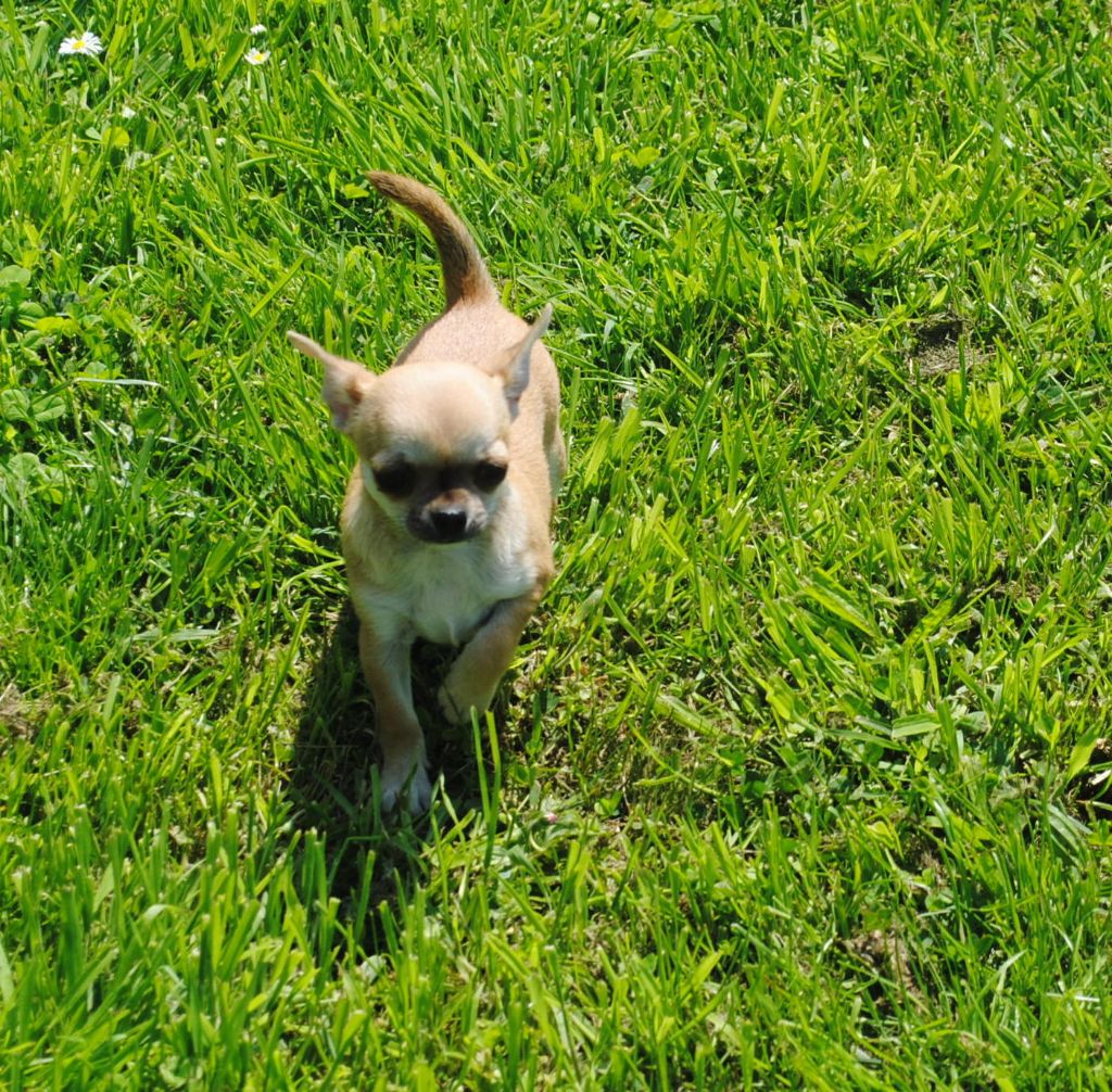 Publication : Des Dunes De Keremma Auteur : sophie urien