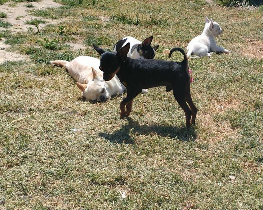 Publication : Des Dunes De Keremma Auteur : Photographe SCC