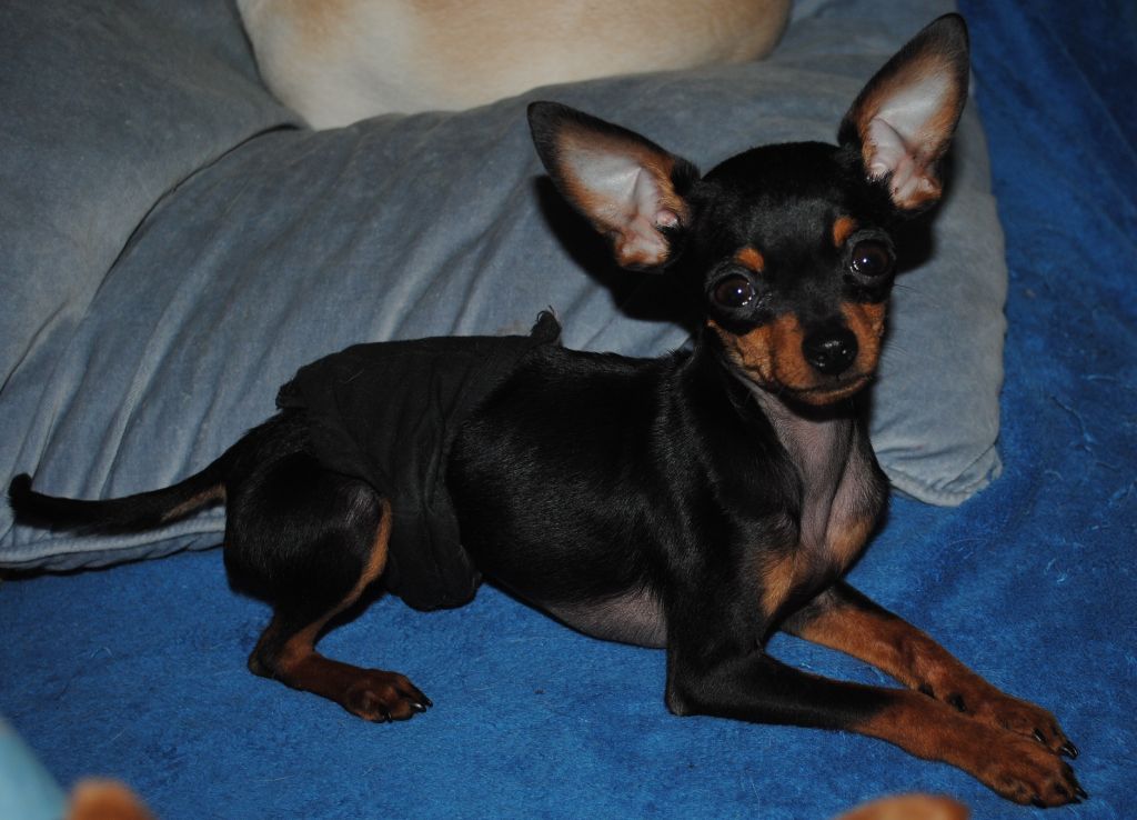 Publication : Des Dunes De Keremma Auteur : Photographe SCC