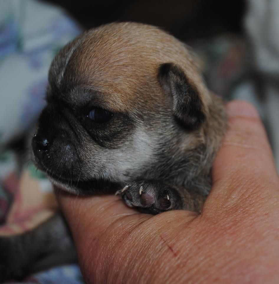 Publication : Des Dunes De Keremma Auteur : sophie urien