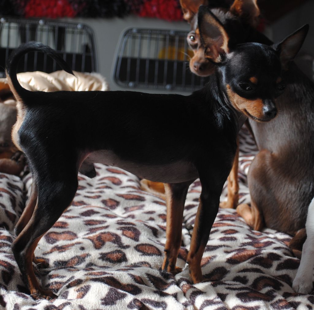 Publication : Des Dunes De Keremma Auteur : Photographe SCC