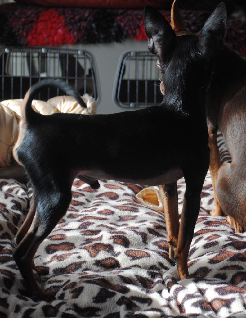 Publication : Des Dunes De Keremma Auteur : Photographe SCC