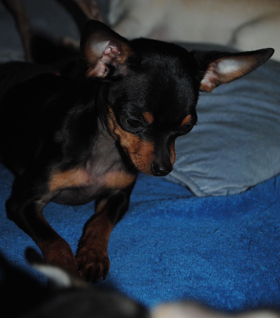 Publication : Des Dunes De Keremma Auteur : Photographe SCC