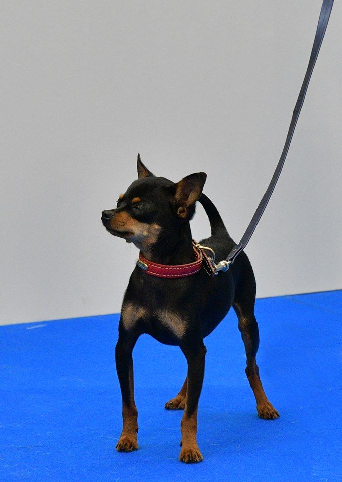 Publication : Des Dunes De Keremma Auteur : Photographe SCC