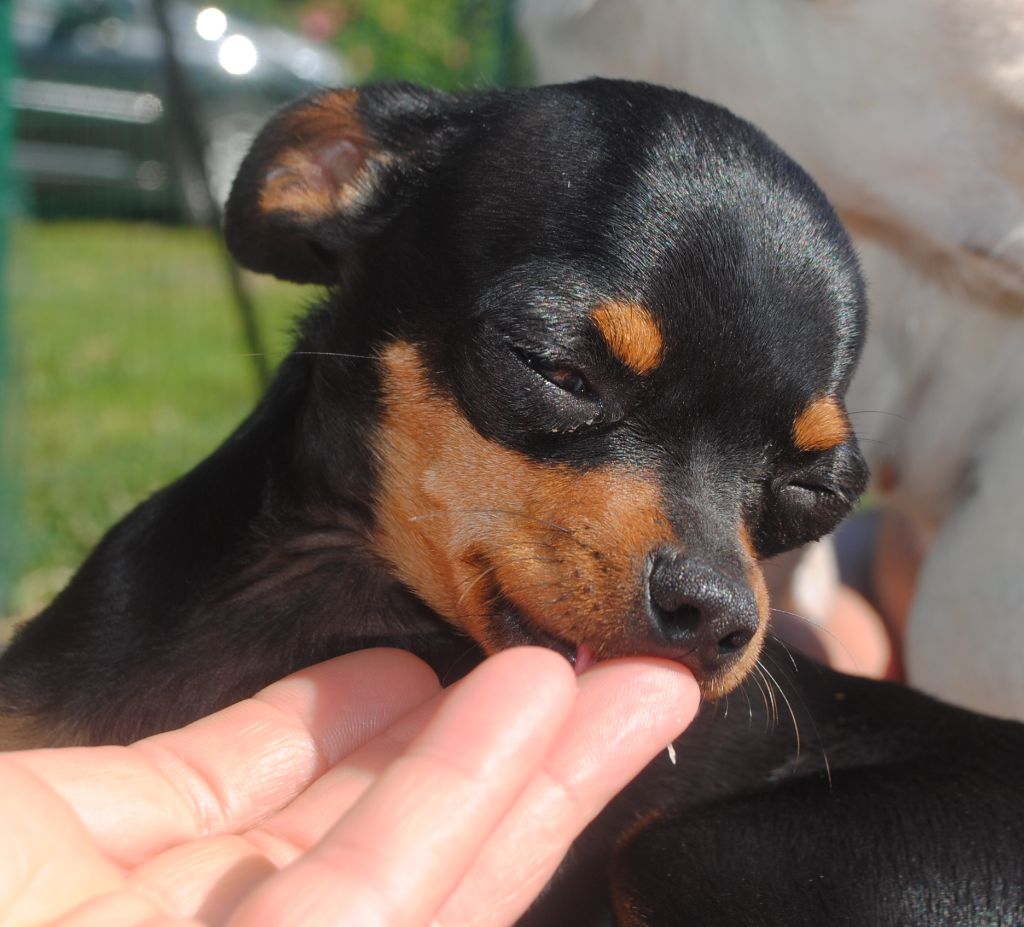 Publication : Des Dunes De Keremma Auteur : Photographe SCC