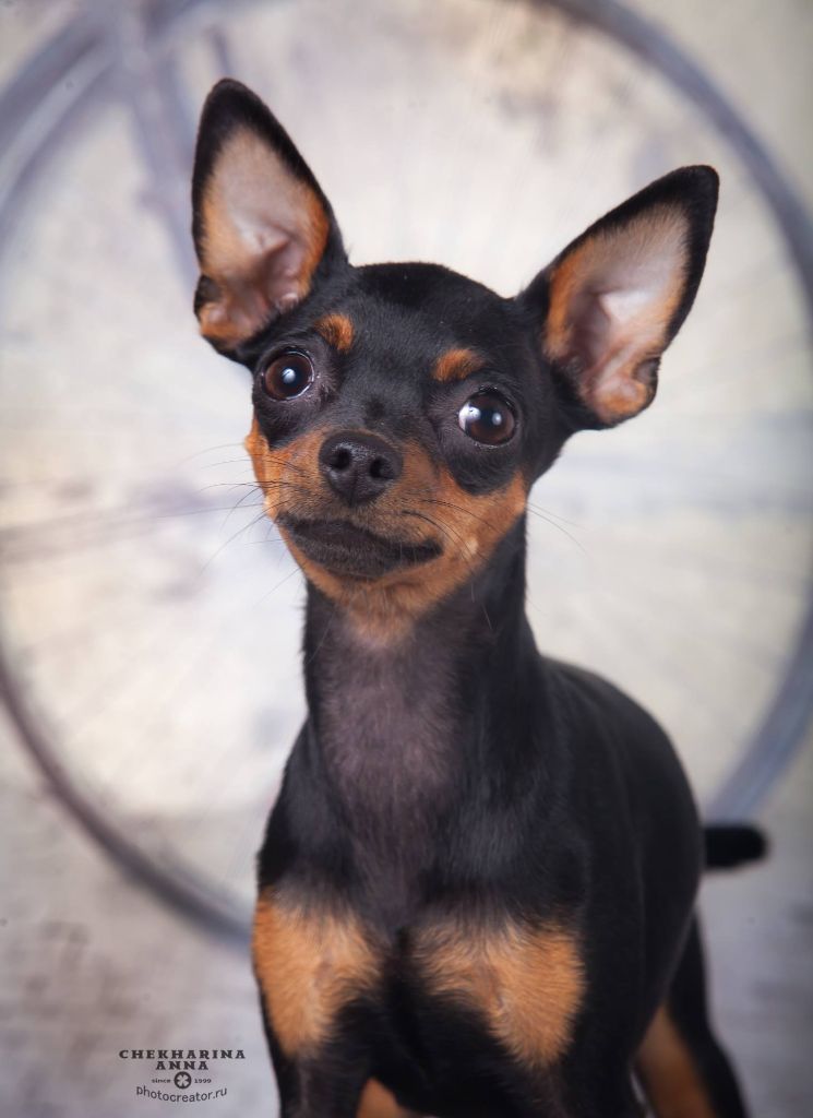 Publication : Des Dunes De Keremma Auteur : Photographe SCC