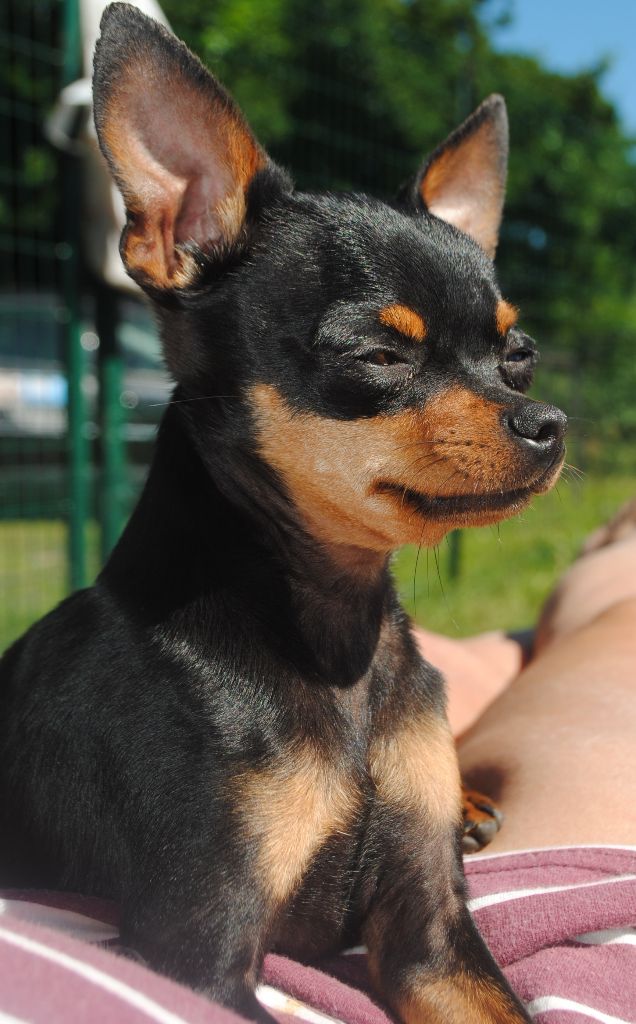 Publication : Des Dunes De Keremma Auteur : Photographe SCC