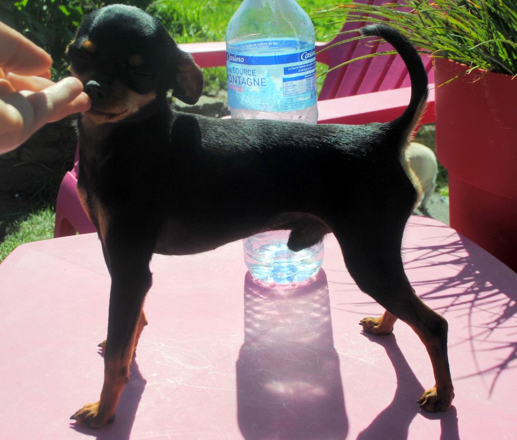 Publication : Des Dunes De Keremma Auteur : Photographe SCC