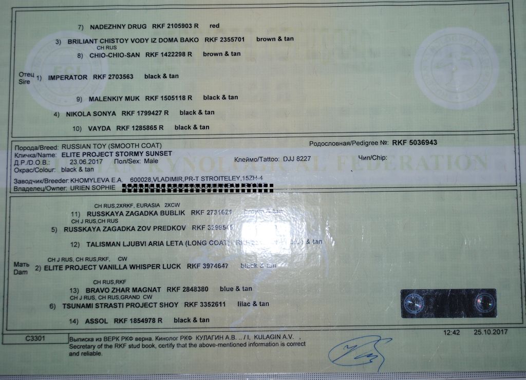 Publication : Des Dunes De Keremma Auteur : Photographe SCC