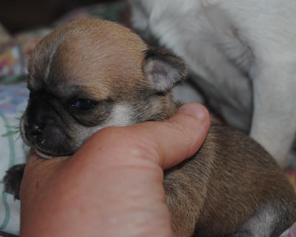 Publication : Des Dunes De Keremma Auteur : sophie urien