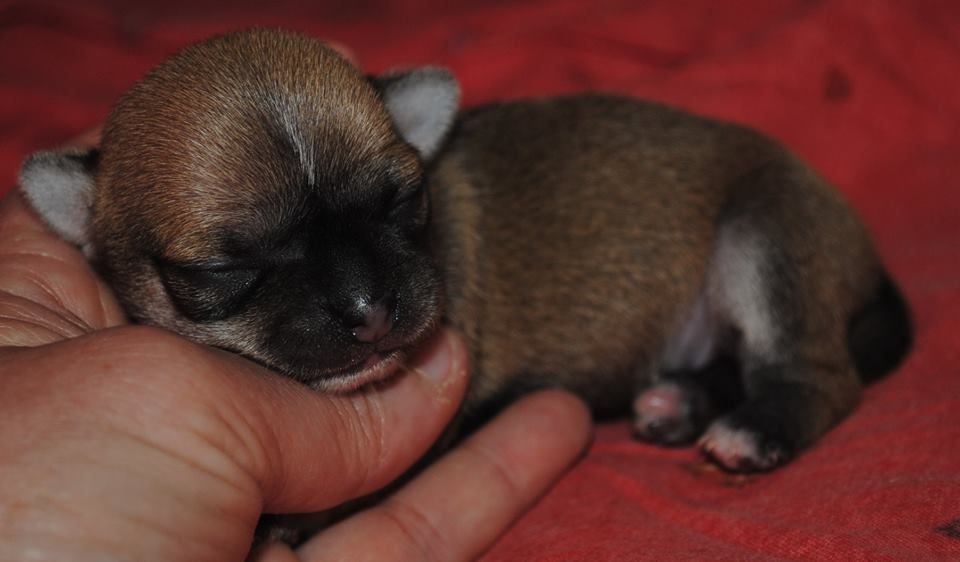 Publication : Des Dunes De Keremma Auteur : sophie urien