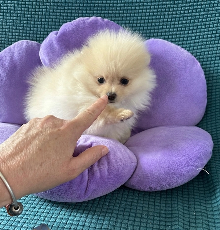 Betty