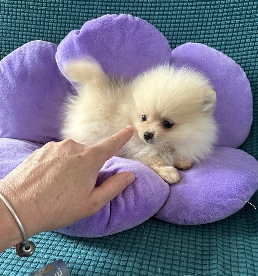 Betty