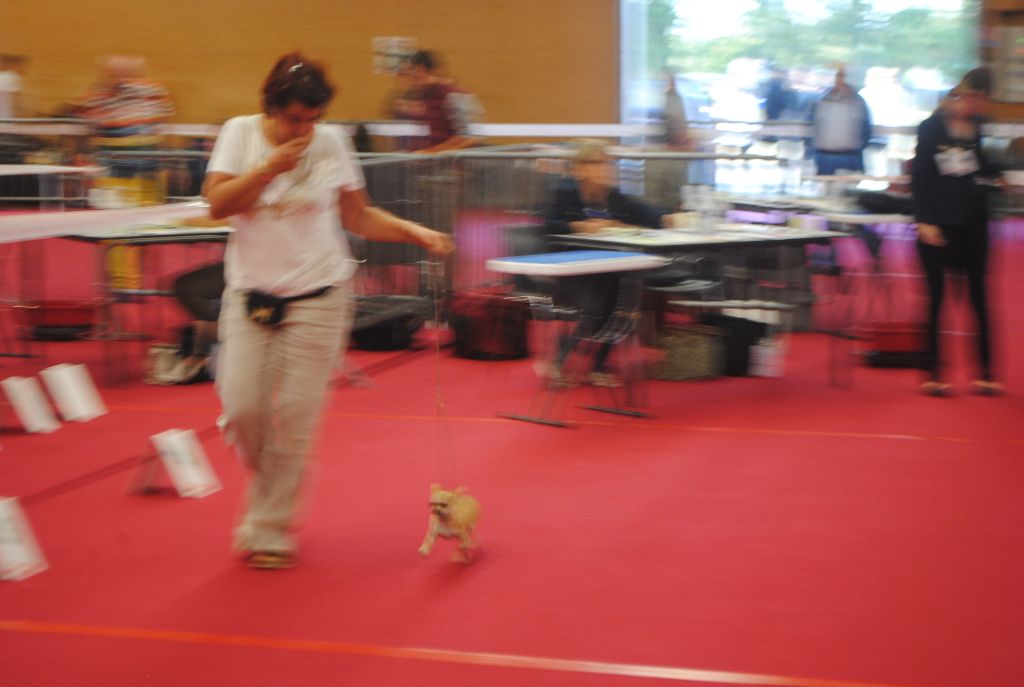 Oclaoma Des Dunes De Keremma - Prometteur ( classe baby ) 4 mois