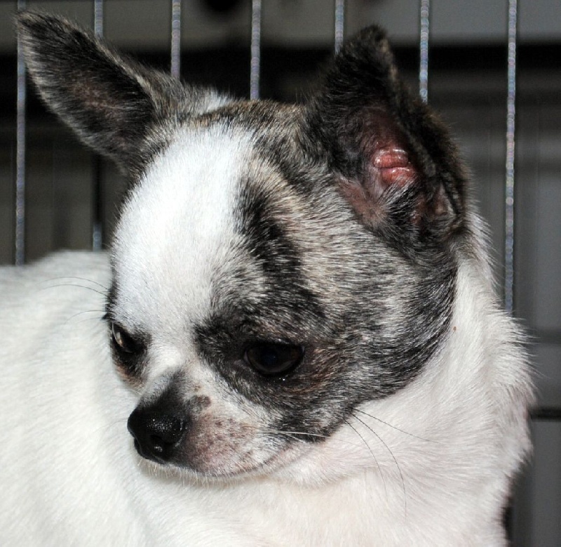 Gwen stefani made in mexico - Très bon