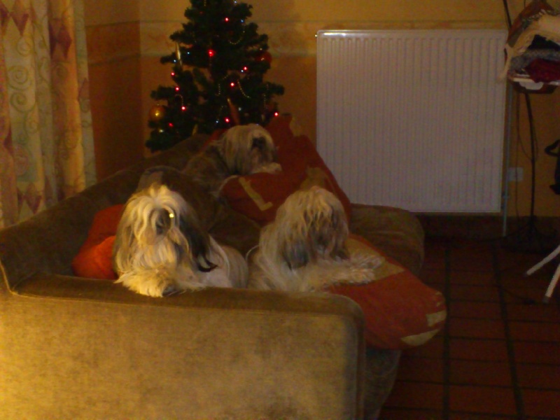 Publication : Des Lumières De Shankara