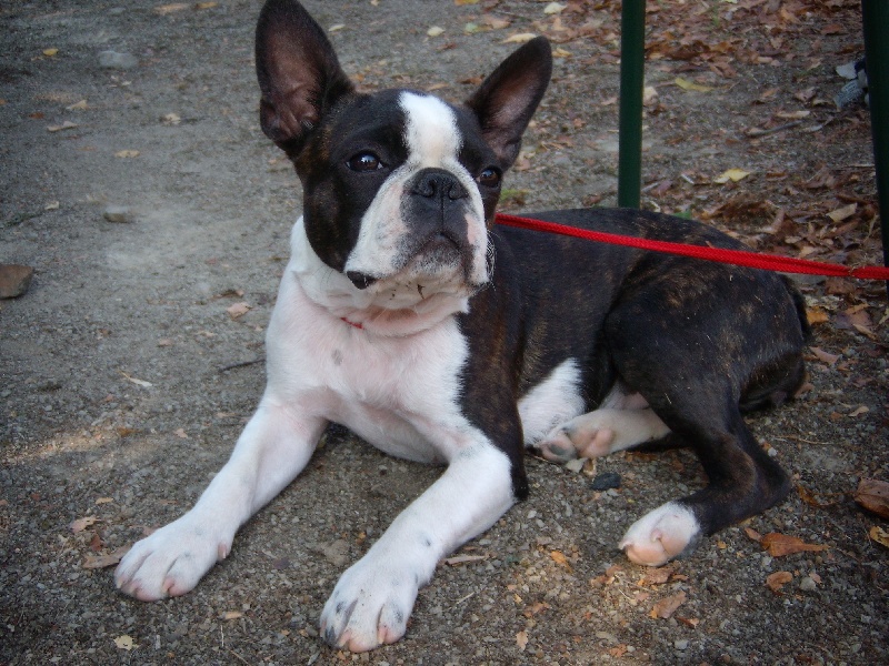 Penn-Sardin Eden breizh