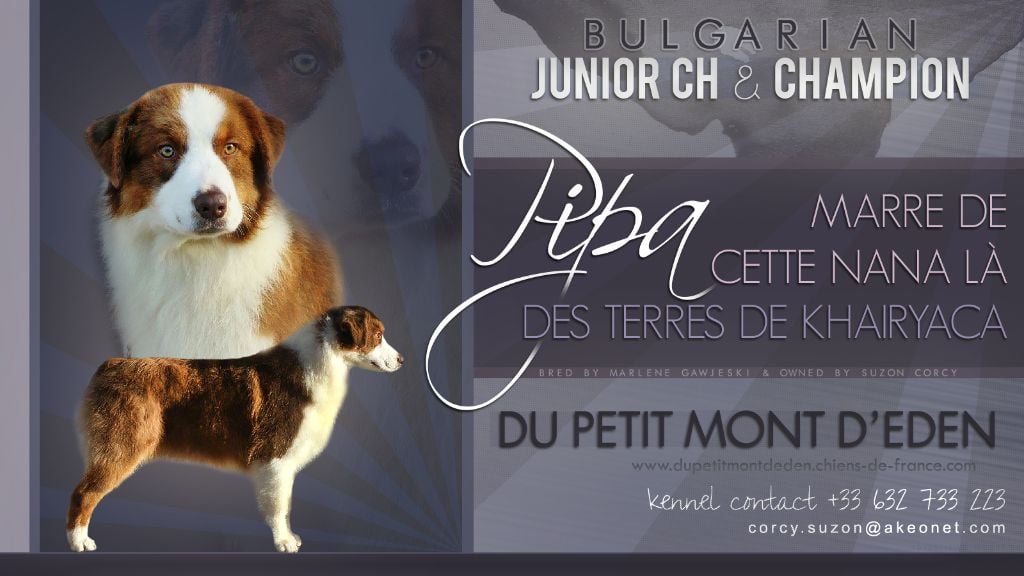 CH. Jch marre de cette nana là des Terres De Khairyaca