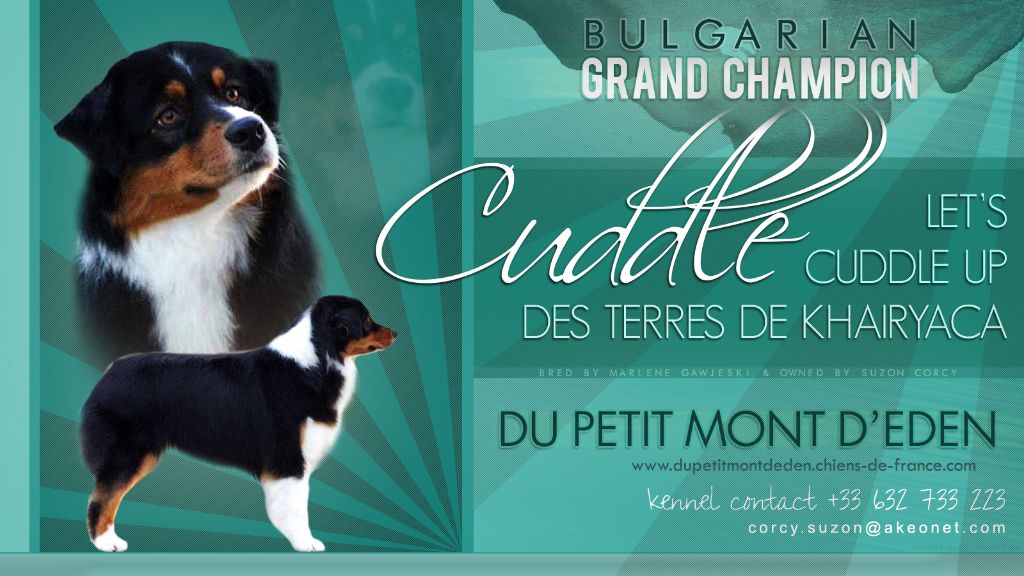 CH. Let's cuddle up des Terres De Khairyaca