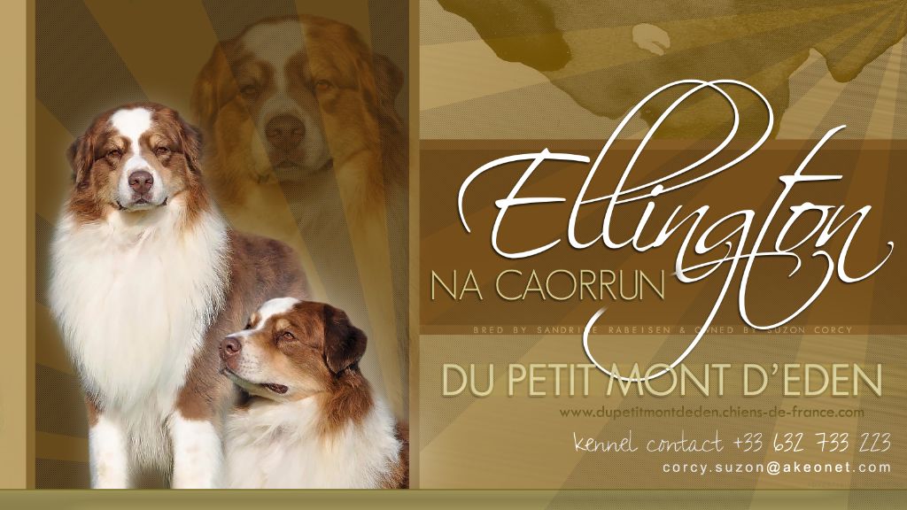 Na Caorrun Ellington