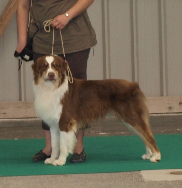 Na Caorrun Ellington - trés bon