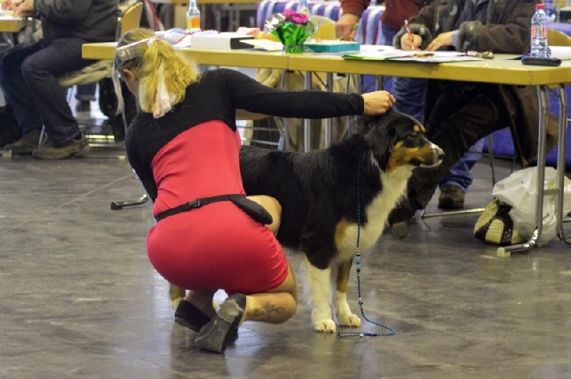 I am the black power dite iwenn Du Petit Mont D'éden - EXCELLENT