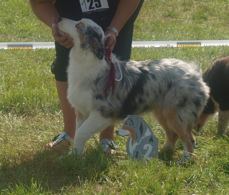 Eagle Creek's Give me a dream - 2éme trés prometteur