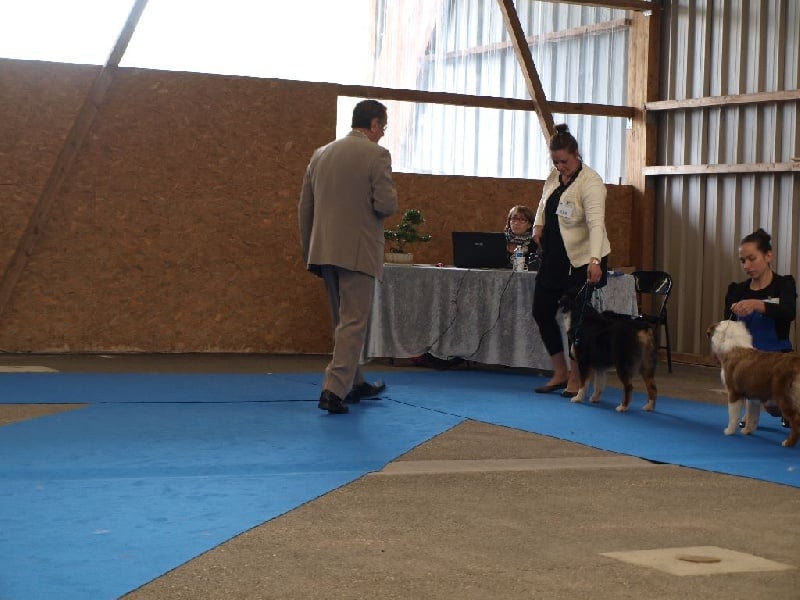 I am the black power dite iwenn Du Petit Mont D'éden - prometteur