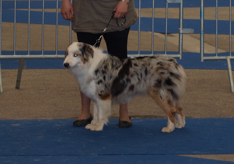 Eagle Creek's Give me a dream - trés bon