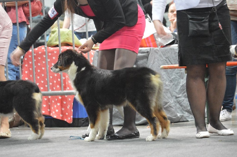 I am the black power dite iwenn Du Petit Mont D'éden - Trés prometteur