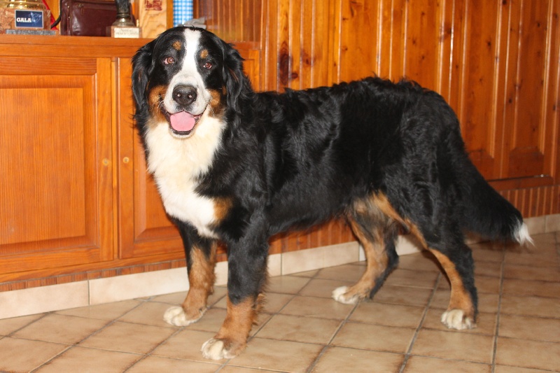 Failabelle De La Ferme D'uzes