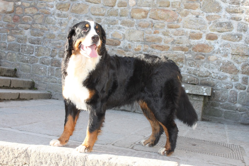Failabelle De La Ferme D'uzes