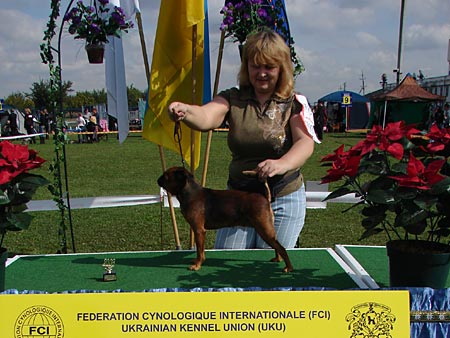 CH. Titre Initial IMGOSBULL TANTSUYUSCHAYA DENEZHKA