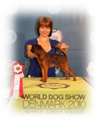 CH. imgosbull Super Trooper