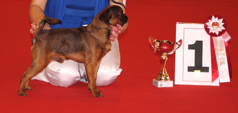 CH. imgosbull Super Trooper