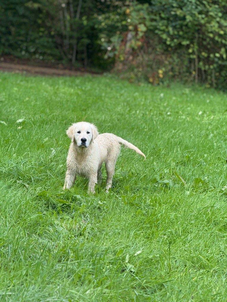 Avalanche d'amour Des Terres d'Amara
