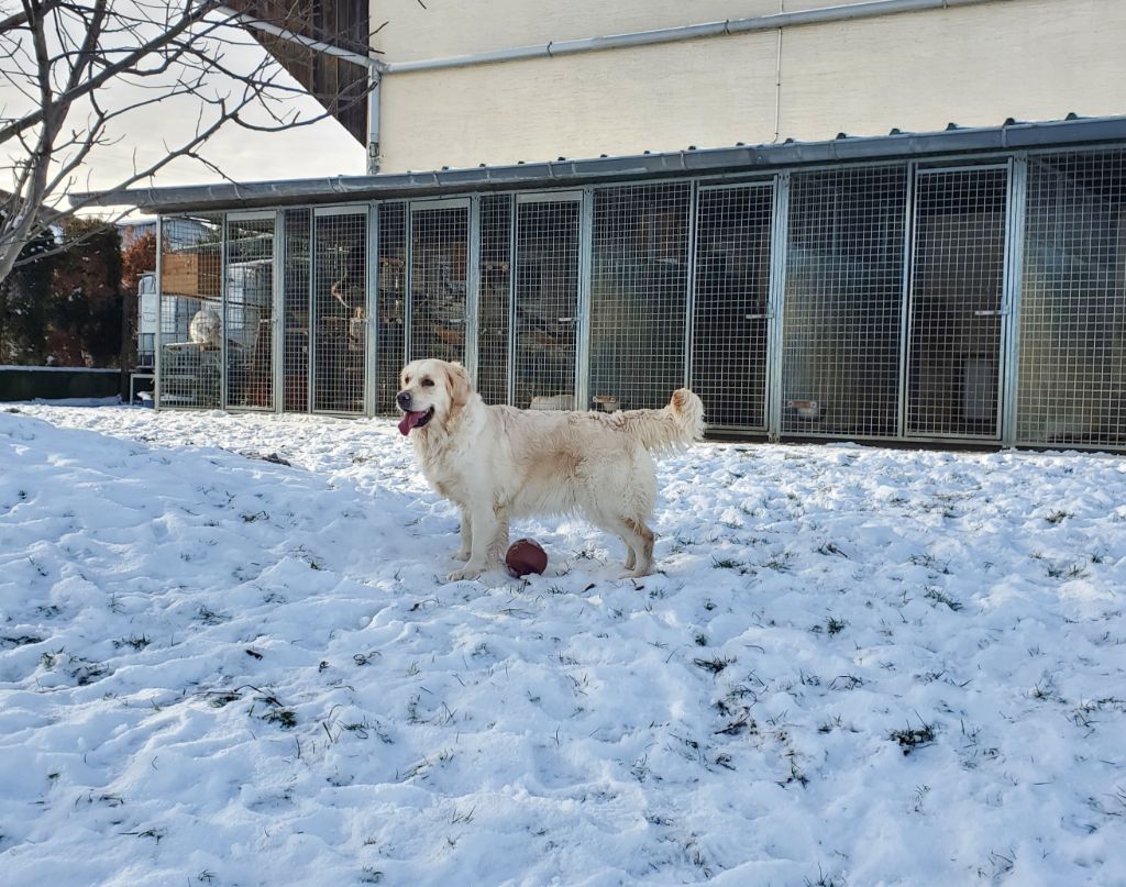 Publication : Du Royaume D'hocus Pocus