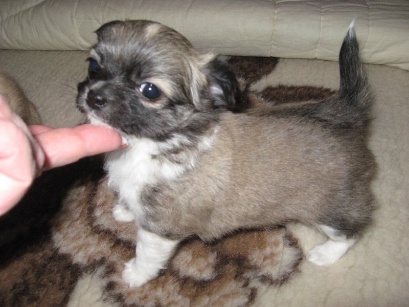 Dj love de la Voie des Péniches