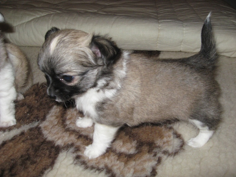 Dj love de la Voie des Péniches