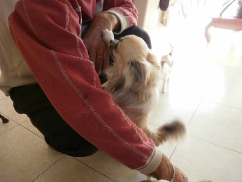 Dj love de la Voie des Péniches