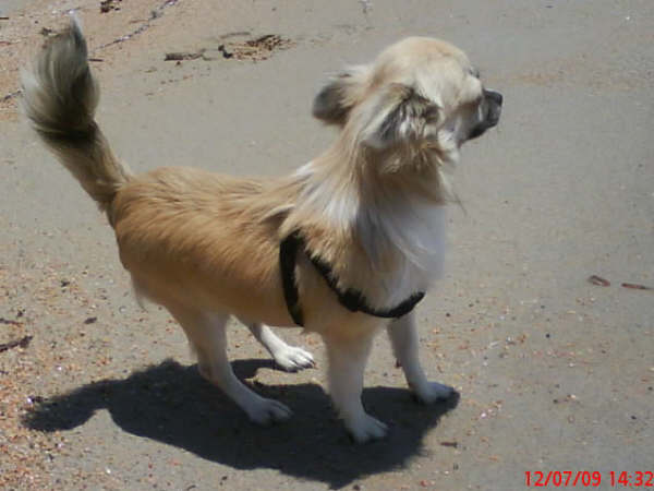 Dj love de la Voie des Péniches