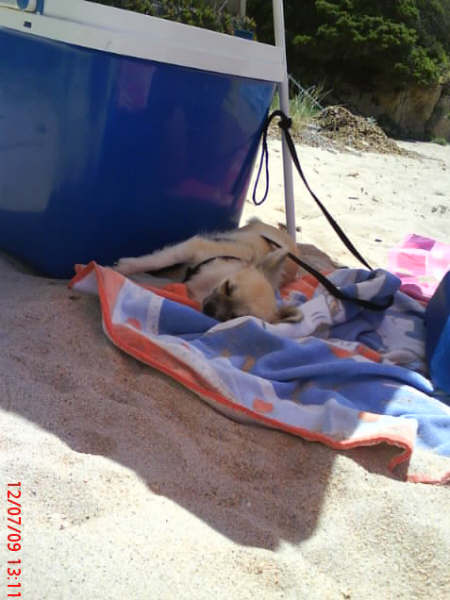 Dj love de la Voie des Péniches