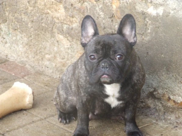 Publication : Du Clos De La Fruitiere